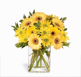 Morning Joy Bouquet Yellow Daisy Mix from Backstage Florist in Richardson, Texas